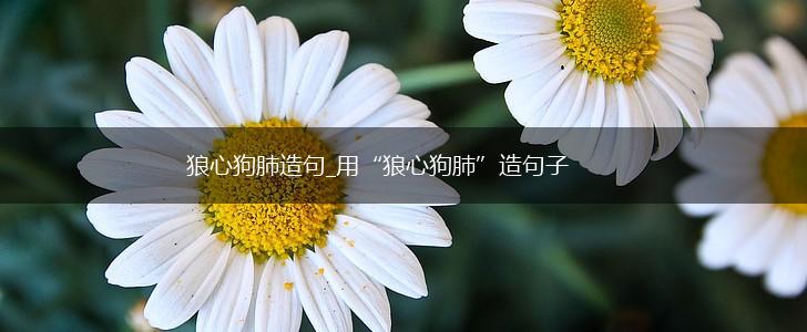狼心狗肺造句_用“狼心狗肺”造句子,第1张