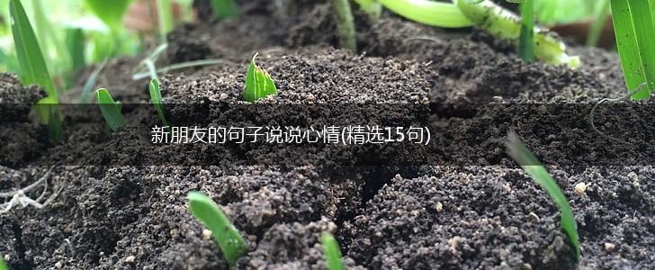 新朋友的句子说说心情(精选15句),第1张