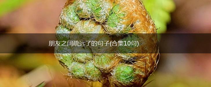 朋友之间疏远了的句子(合集10句),第1张