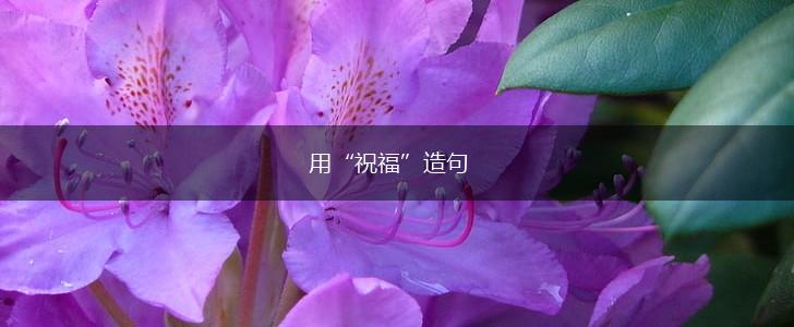 用“祝福”造句,第1张 用“祝福”造句,第1张
