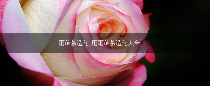 雨前茶造句_用雨前茶造句大全,第1张