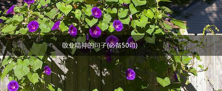 敬业精神的句子(必备50句),第1张