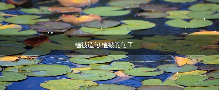 植被造句,植被的句子,第1张 植被造句,植被的句子,第1张