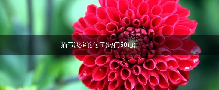 描写淡定的句子(热门50句),第1张