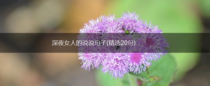 深夜女人的说说句子(精选20句),第1张