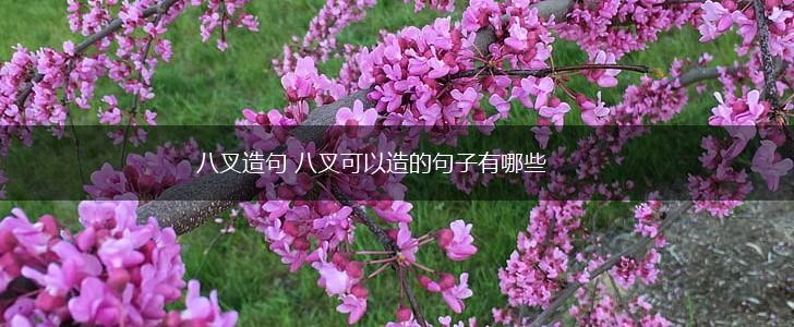 八叉造句 八叉可以造的句子有哪些,第1张