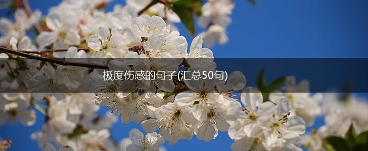 极度伤感的句子(汇总50句),第1张