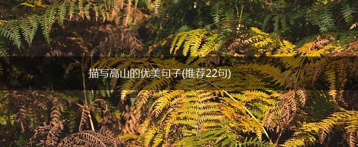 描写高山的优美句子(推荐22句),第1张