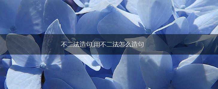 不二法造句,用不二法怎么造句,第1张 不二法造句,用不二法怎么造句,第1张
