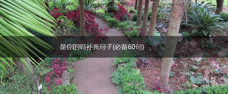 是你的吗补充句子(必备60句),第1张