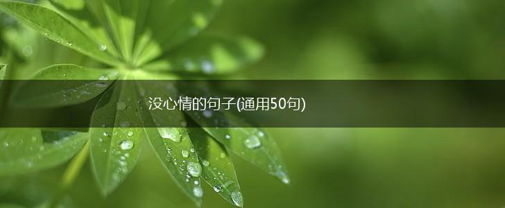 没心情的句子(通用50句),第1张