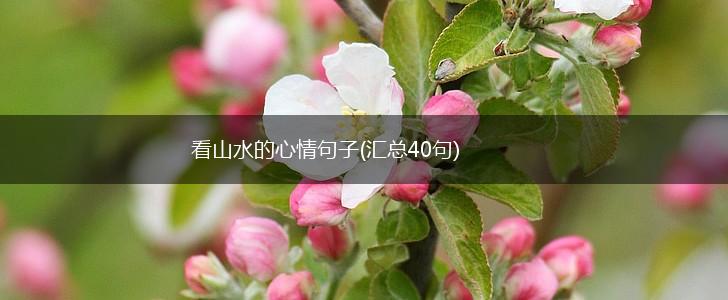 看山水的心情句子(汇总40句),第1张