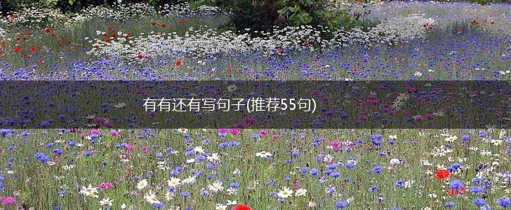 有有还有写句子(推荐55句),第1张