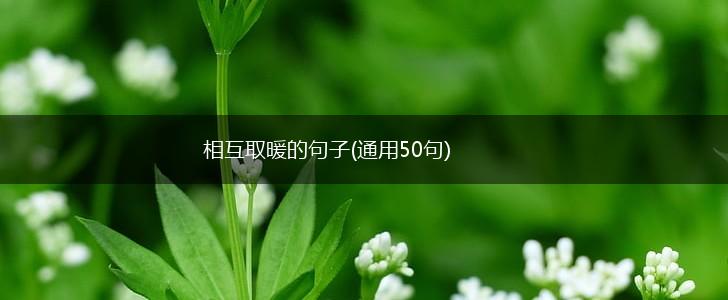 相互取暖的句子(通用50句),第1张