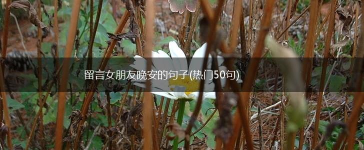 留言女朋友晚安的句子(热门50句),第1张