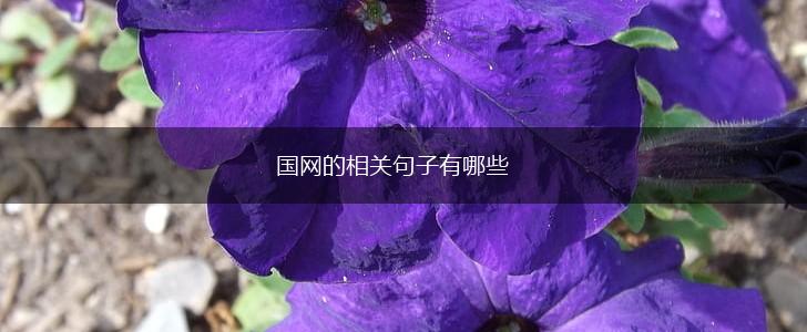 国网的相关句子有哪些,第1张 国网的相关句子有哪些,第1张