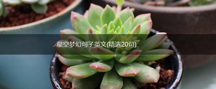 星空梦幻句子英文(精选20句),第1张