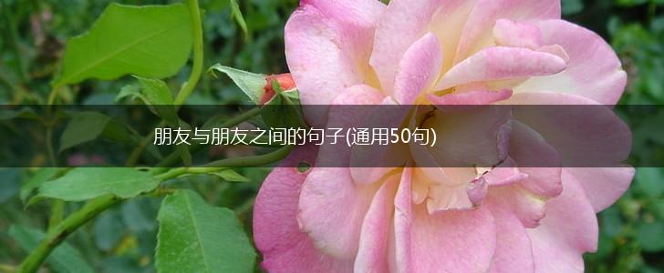 朋友与朋友之间的句子(通用50句),第1张
