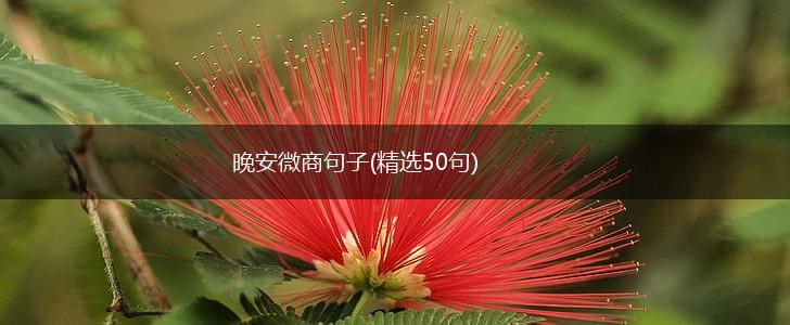 晚安微商句子(精选50句),第1张