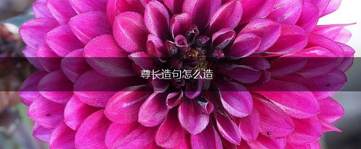 尊长造句怎么造,第1张 尊长造句怎么造,第1张