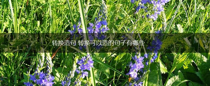 转换造句 转换可以造的句子有哪些,第1张 转换造句 转换可以造的句子有哪些,第1张