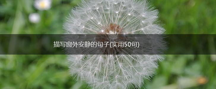 描写窗外安静的句子(实用50句),第1张