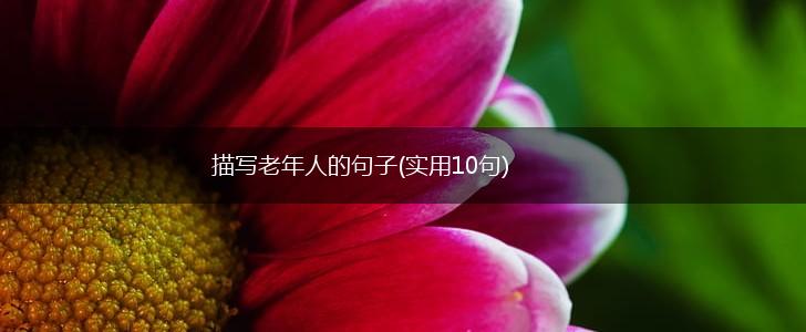 描写老年人的句子(实用10句),第1张