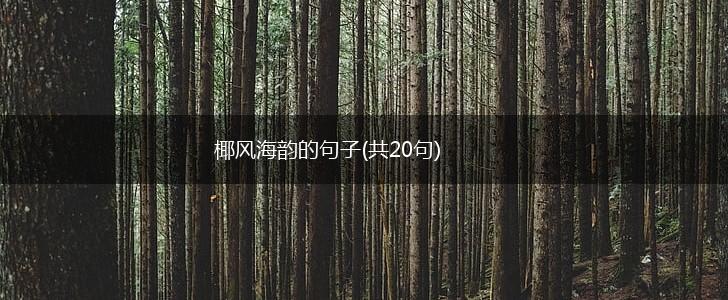 椰风海韵的句子(共20句),第1张