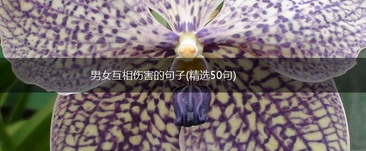 男女互相伤害的句子(精选50句),第1张