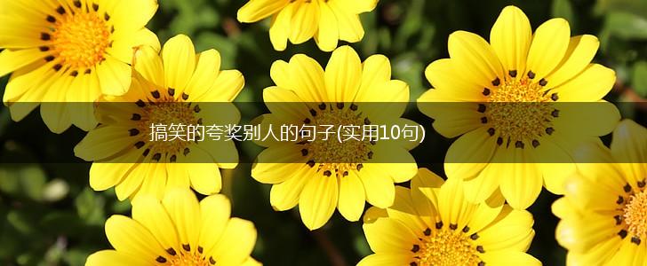 搞笑的夸奖别人的句子(实用10句),第1张