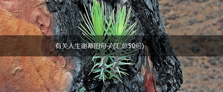 有关人生谢幕的句子(汇总50句),第1张