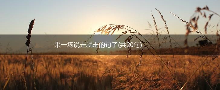 来一场说走就走的句子(共20句),第1张