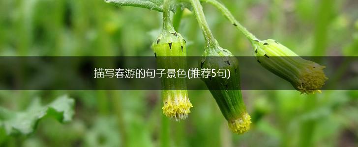 描写春游的句子景色(推荐5句),第1张