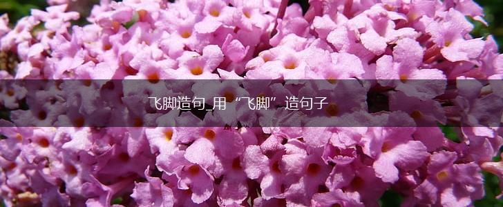 飞脚造句_用“飞脚”造句子,第1张