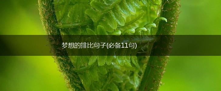 梦想的排比句子(必备11句),第1张