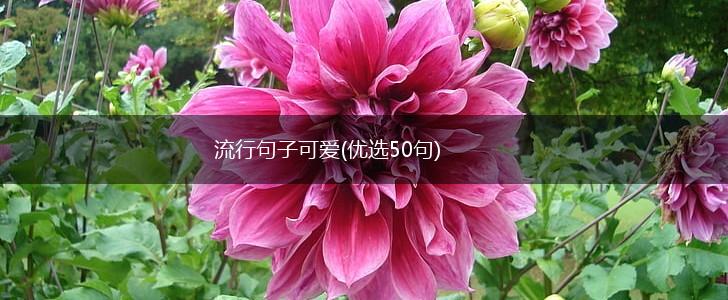 流行句子可爱(优选50句),第1张