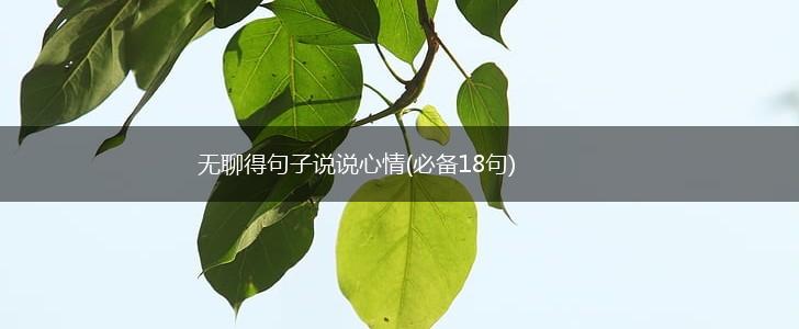 无聊得句子说说心情(必备18句),第1张