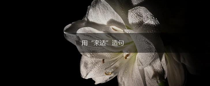 用“来适”造句,第1张