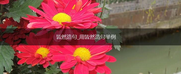 皆然造句_用皆然造句举例,第1张 皆然造句_用皆然造句举例,第1张