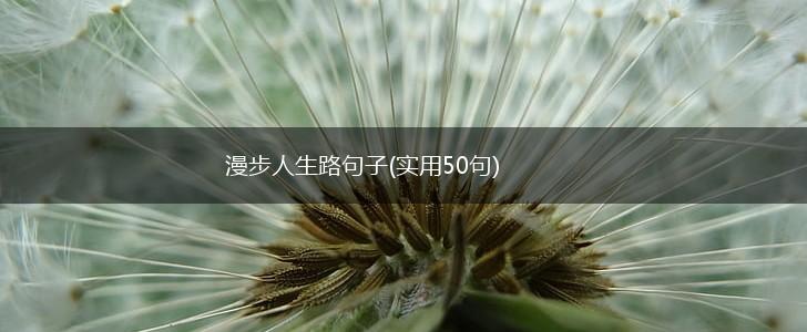 漫步人生路句子(实用50句),第1张