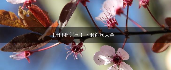 【用下时造句】下时造句大全,第1张