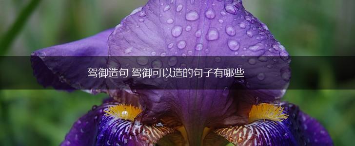 驾御造句 驾御可以造的句子有哪些,第1张