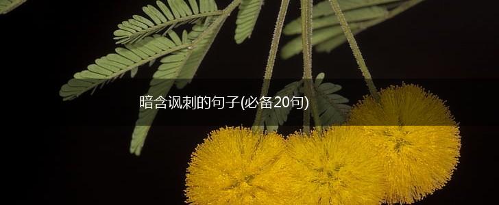 暗含讽刺的句子(必备20句),第1张