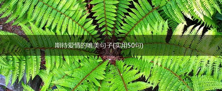 期待爱情的唯美句子(实用50句),第1张