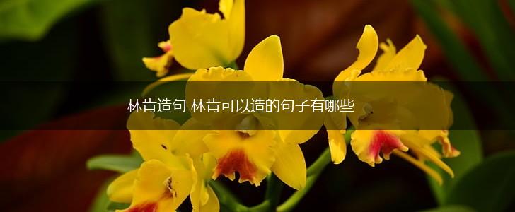 林肯造句 林肯可以造的句子有哪些,第1张 林肯造句 林肯可以造的句子有哪些,第1张