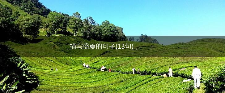 描写盛夏的句子(13句),第1张