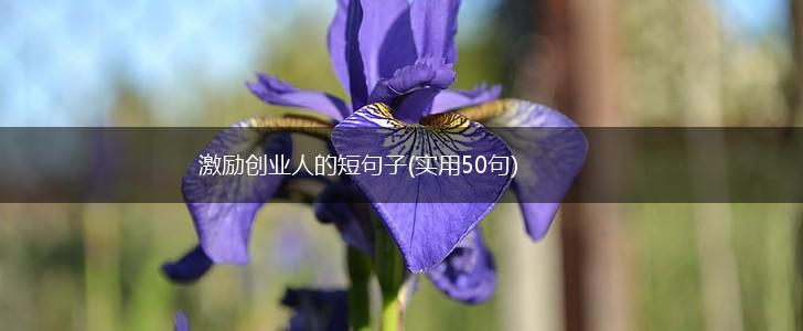 激励创业人的短句子(实用50句),第1张