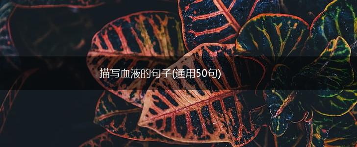 描写血液的句子(通用50句),第1张