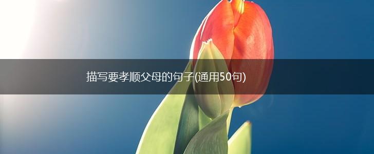 描写要孝顺父母的句子(通用50句),第1张