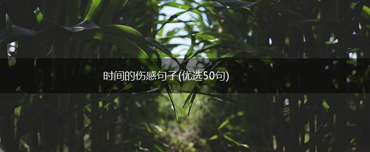 时间的伤感句子(优选50句),第1张
